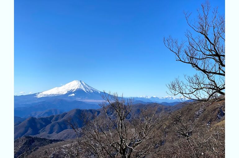 富士山